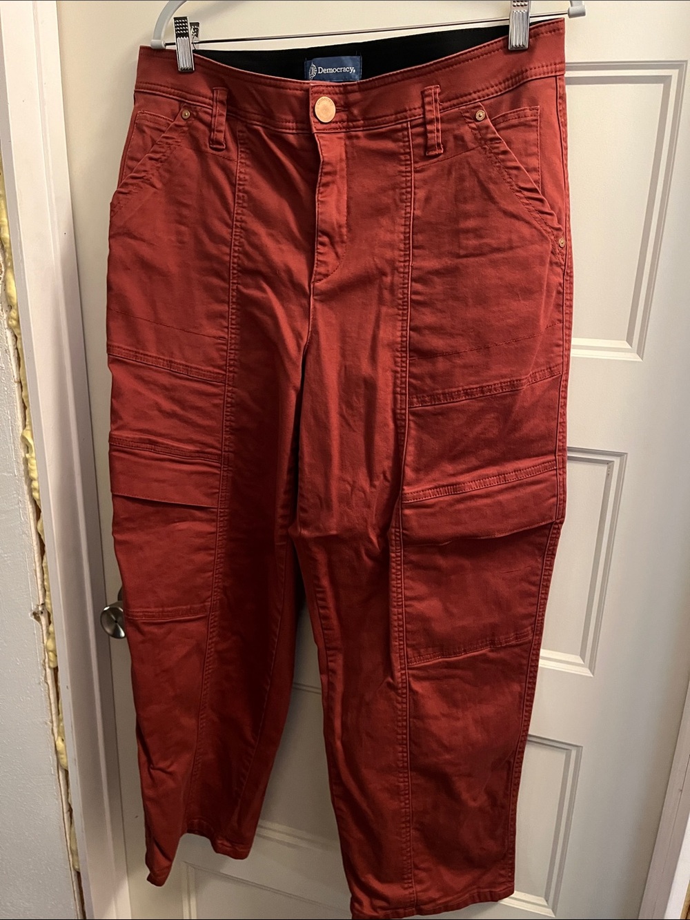 Democracy Rust Red Cargo Pants